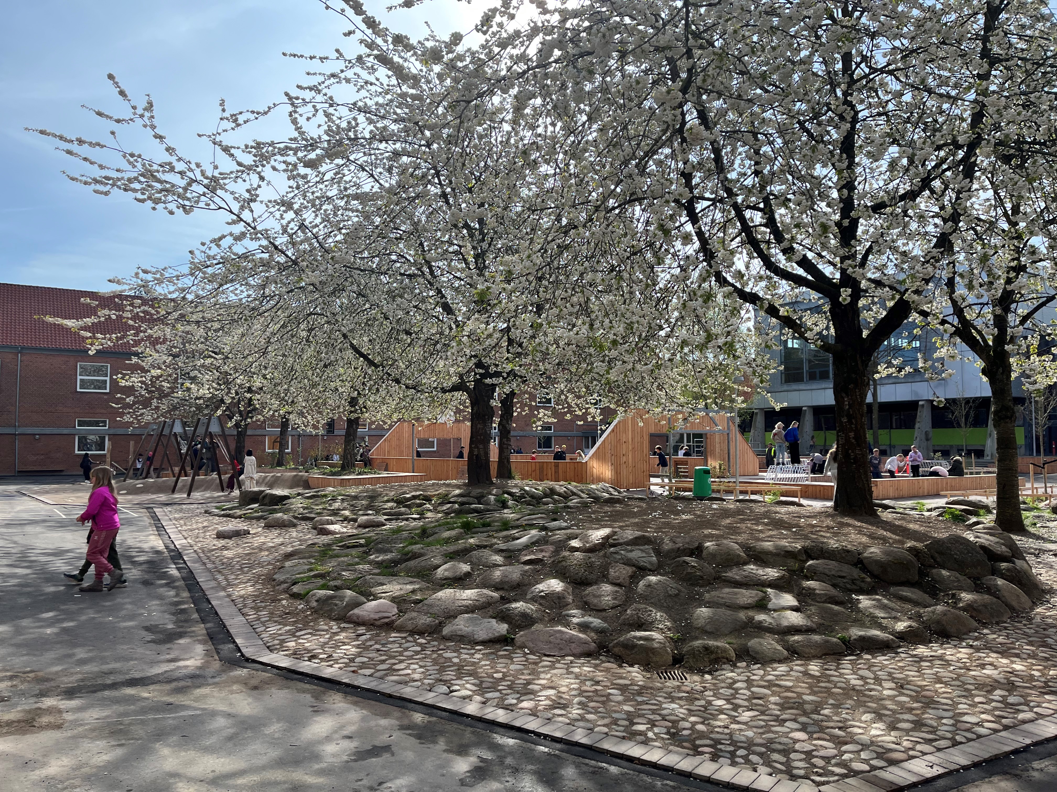 Skolegård